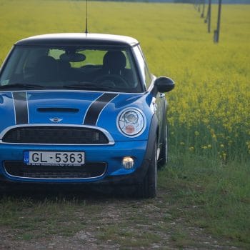 mini auto repair specialist in parker